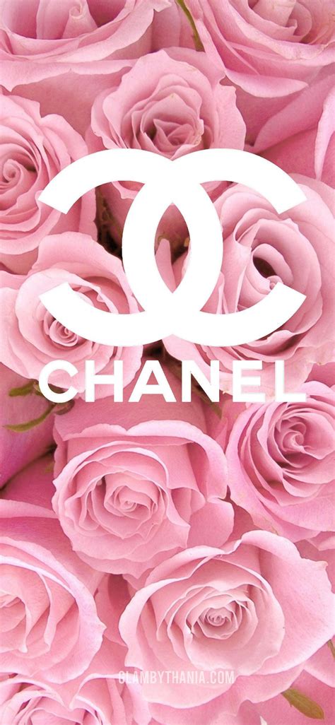 girly chanel wallpaper